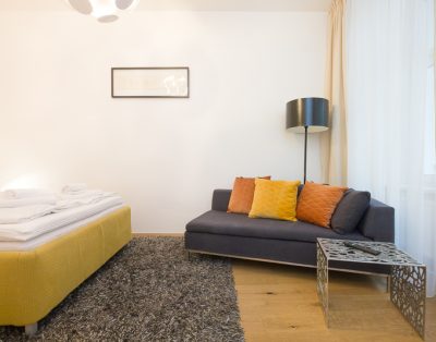 Designer Apartment close to Main Attractions