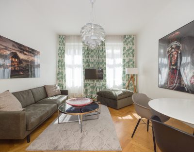 Spacious Apartment in Noble District